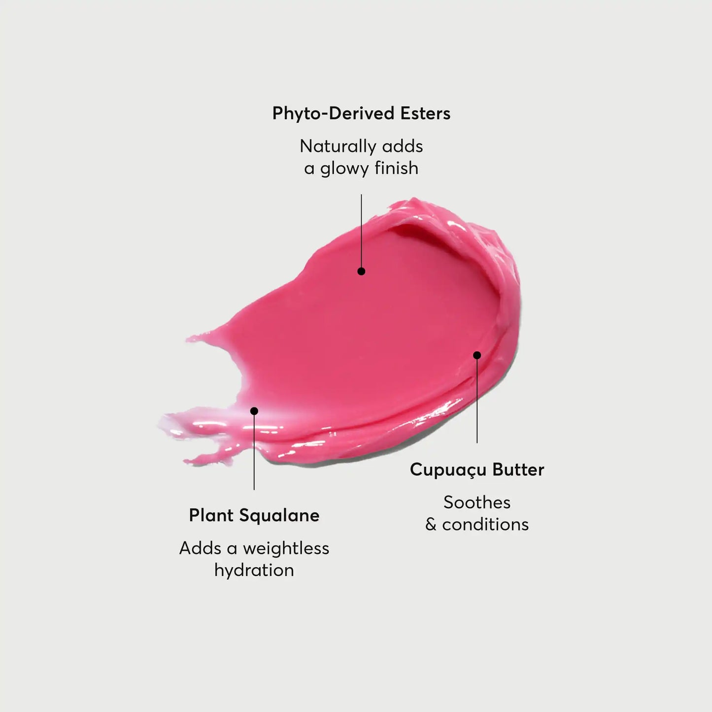 phyto-glow-lip-balm-camellia-j3 NATR-60075-Alt-Images-Phyto-Glow-Lip-Balm-Camellia-01.webp